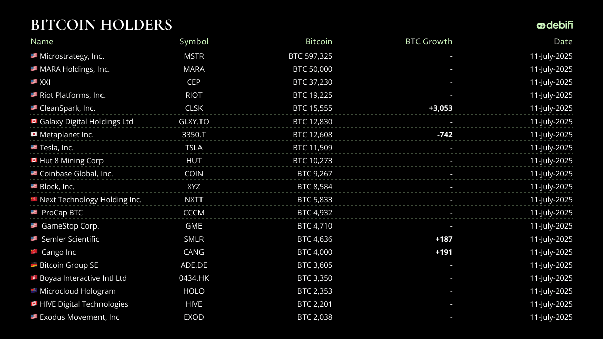 BTC Holdings 11 July 2025