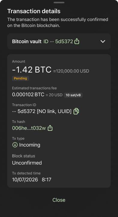 Check transaction details in Bitcoin vault