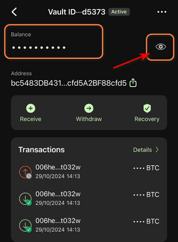 Hide balance in Bitcoin vault